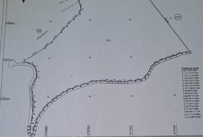 Teren 7 ha, Lac Vidraru, Podis Molivis - 8