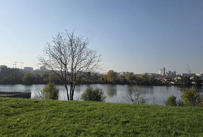 STUDIO PREMIUM PE MALUL LACULUI, BUCATARIE INCHISA, PARC PRIVAT, TERASA - 1