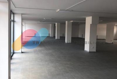 Spații comerciale | Vitrine stradale | Open-space | zona Corneliu Coposu - 4