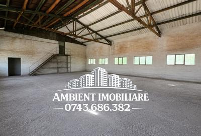 HALĂ DEPOZITARE sau ATELIER, teren 310 mp, VASLUI - zona Industrială; - 4