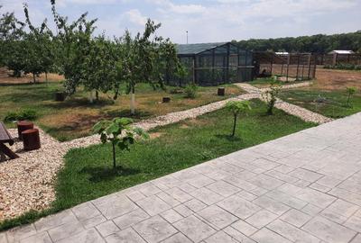 FARA COMISION casa 4 camere 2 bucatarii 2 puturi beci livada 1500mp SAU 3300mp - 40