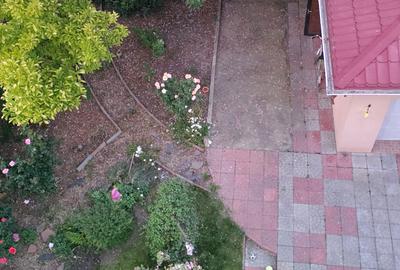 Casa impresionanta de vanzare Cotroceni, teren 680 mp, renovata, garaj dublu - 4