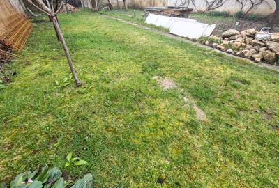 Casa 4 camere libera la vanzare GHIMBAV - 15