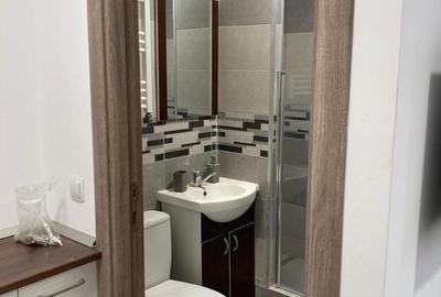 Apartament 4 camere Calea Calarasi / Hala Traian in vila - 7