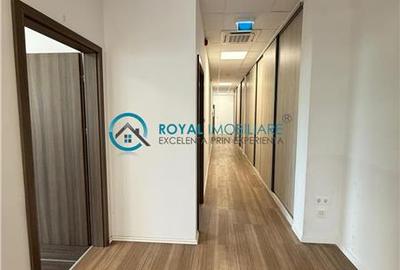 Royal Imobiliare-  Spatiu Industrial Zona Exterior Vest - 8