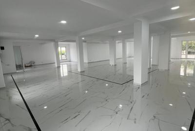 Spațiu comercial | Dumbrăvița Nord | - 3