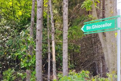 Teren Construcții intravilan de 1210 mp, în Calea București