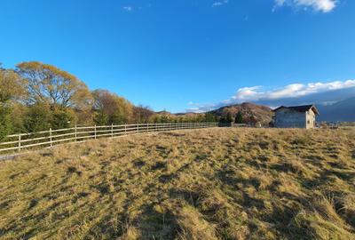 Teren Rasnov –  Glajarie zona de case si pensiuni - 4