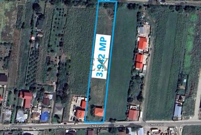 Teren Nicolae Bălcescu 3942 mp intravilan - 1