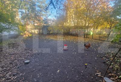 Casa de vanzare, 1360 mp teren, strada asfaltata, circulata, Centrul Vechi - 14