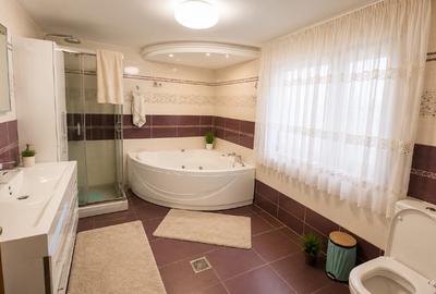 VILA IMPRESIONANTA / PROPRIETATE EXCLUSIVISTĂ - potential turistic si de afaceri - 9