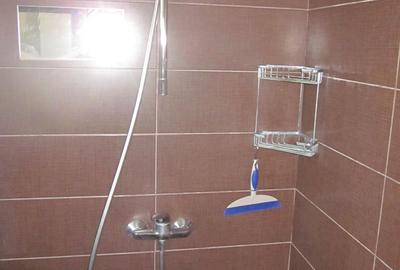 Casa duplex in Noua, P+E+M, 5 camere, 3 bai, mobilata si utilata, 499 mp teren! - 23