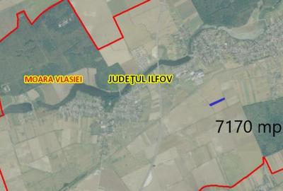 Teren de vanzare in Moara Vlasiei - 7170 mp - aproape de Padurea Biglaru - 2