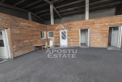 PLATFORMĂ INDUSTRIALĂ 3HA SILOZURI 50M ACCES CFR SÂNNICOLAU MARE - 6