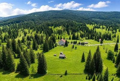 Complex montan 1.124 mp, Toplita Secu, investitie: turistica /retreat, cadru val - 5