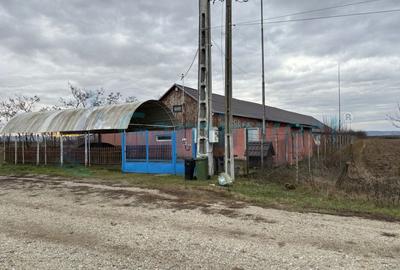 De vanzare atelier, casa si teren, Sabolciu, Bihor, Romania - 4