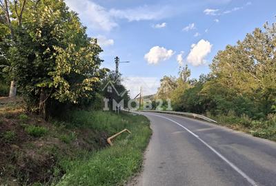Teren spectaculos cu padure, livada si priveliste panoramica in Soimari PH - 16