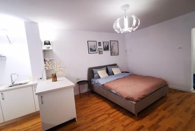 Apartament 1 camera Bulevardul Take Ionescu / Medicina ! - 3