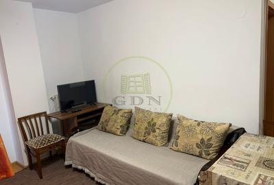 Apartament 2 camere de inchiriat-Zona Doamna Stanca - 18