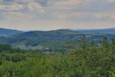 Teren intravilan – 9.000 mp, sat Ogretin, comuna Drajna, jud. Prahova - 1
