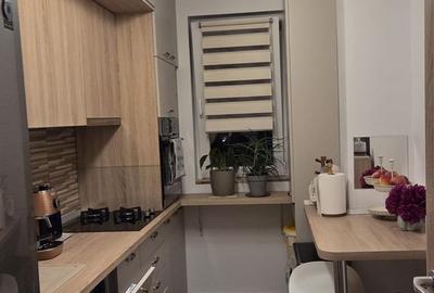 Apartament Vulturilor // Matei Basarab - 10