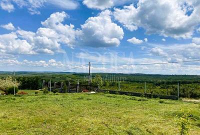 Teren Construcții intravilan de 895 mp, în Paleu