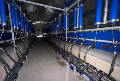 Ferma de vanzare Vitanesti Teleorman - 8