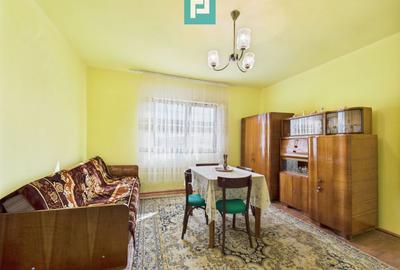 Casă cu teren de 4707 mp în Hălmăgel, județul Arad - 8