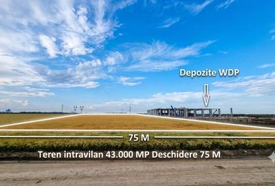 Vânzare teren 43.000 MP Intravilan Tarla 10–Ștefăneștii de Jos, Nod A3-A0 FS 75 - 1