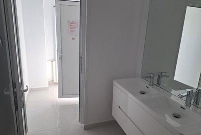 Spatiu Birouri diverse suprafete Piata Victoriei 11 Euro / mp - 6