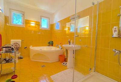 Casa Individuala - 10 Camere -Birouri - Hotel - Camin - 990 MP Teren - 288 utili - 16