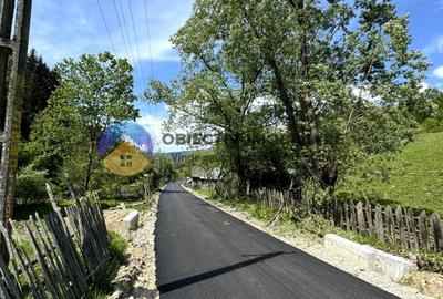 Teren 11557 mp comuna Ceahlau - 13