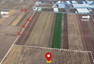 Teren Strategic 32.5 Ha | Direct la Nod Autostradă Brașov-Bacău | Ideal Logistic - 6
