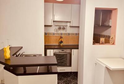 Apartament 2 camere Decebal, stradal, PET-FRIENDLY, mobilat si utilat modern - 9