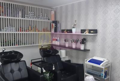 Spatiu Comercial Stradal Șoseaua Colentina zona Teiul Doamnei Suveica - 13