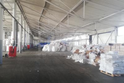 HALA FILIPESTII DE PADURE - complet echipata, pregatita pt productie sau depozit - 7