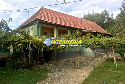 OKAZIE! Casa in Cricau 3 Camere 1300 mp. Curte Teren Fantana Utilitati Asfalt - 2