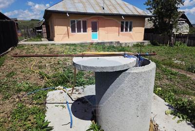 Casa de vanzare in sat Botesti, com. Ungureni, jud. Bacau. - 10