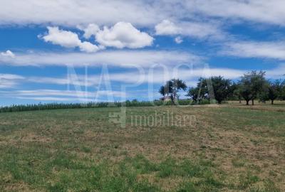 Teren intravilan pentru constructii de vanzare in Iris, Cluj Napoca - 3