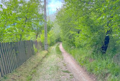 Teren 1500mp, intravilan cu utilitati, in proximitatea complexului Vila Bran - 9