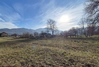 Teren intravilan de vanzare Pangarati Stejaru 1280 mp , Cod 160472 - 3