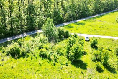 Teren intravilan, 2 fronturi, Drumul Padurea Pustnicu 65 - Greenfield - 6