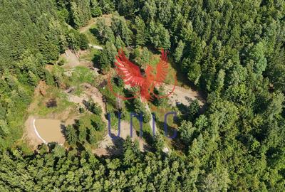 18000 mp de natura pura ,Lupeni, langa Straja - 1