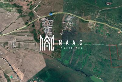 Teren 6,75 ha | Panoramă și Acces Excelent | Dealul Daii - 3