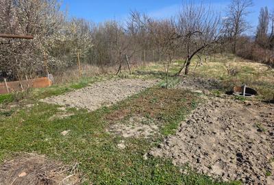 Vand Casa in Caransebes - strada Fundatura CFR - 5