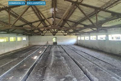 Teren 3.400 mp + 2 hale – Spațiu ideal pentru afacerea ta - 1