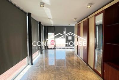 Vila moderna, P+2, mobilat, IANCU NICOLAE - 45