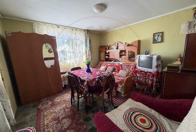 Casa Priboieni - sat Pitoi Arges - 9