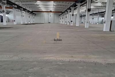 Spatiu Industrial - 5000 mp - Productie - Depozitare - Distributie - 8