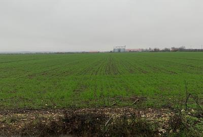 DJ200  Stefanesti de Jos / Dascalu    - Targoviste Gaesti  Vanzare  Teren - 12